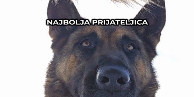 USUSRET VALENTINOVU: Video koji nas podsjeća na to što je zapravo ljubav