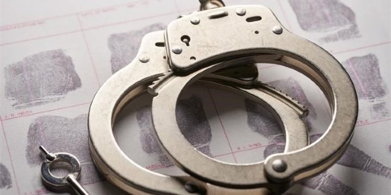 Ukrao mu dva elektromotora i plug za oranje