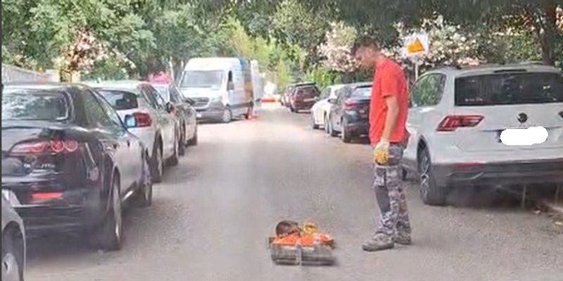 VIDEO Kakvo iznenađenje na splitskoj prometnici, ovo morate pogledati