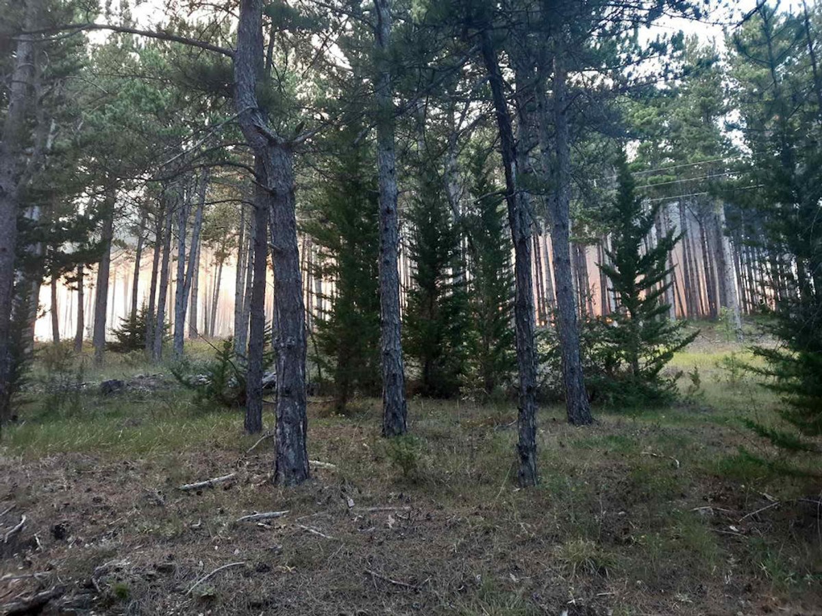 Požar kod Muća i dalje je aktivan