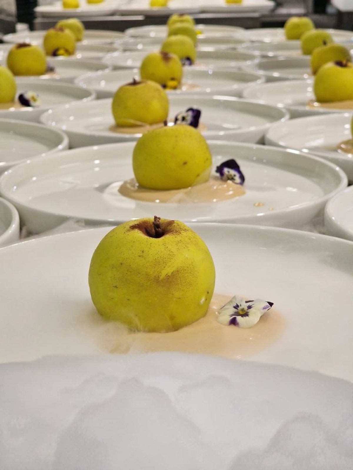 Wine&Dine - Vrelo Borak