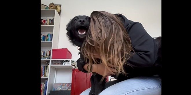 VIDEO: 'REKLI SU MI DA ČEKAM BOLJI TRENUTAK' Udomila je crnog psa unatoč statistici