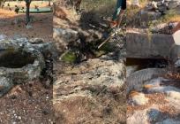 Na Marjanu napunjena pojilišta za životinje koje tamo obitavaju