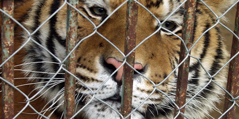 Split ostaje bez Zoološkog vrta