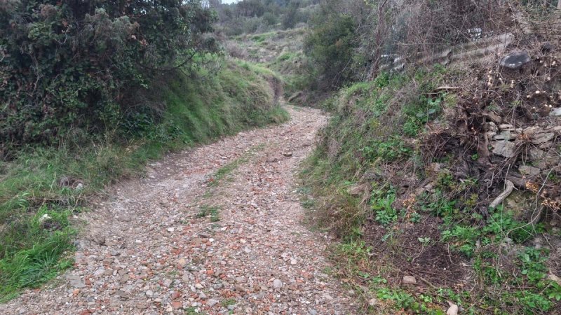 Reakcija na objavu Društva Marjan: 'Prepreka je već bila uklonjena'