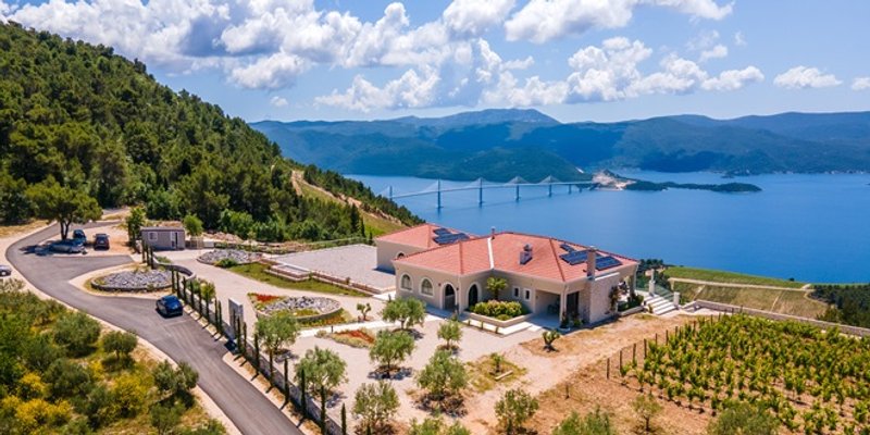 Rizman vinogradi proglašeni najljepšim u Europi 