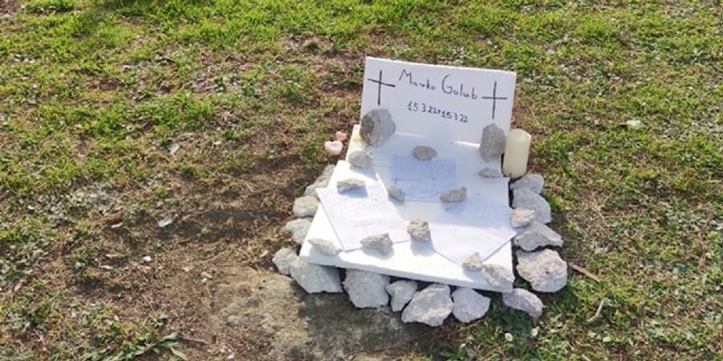 Djeca napravila grob golubu: 'Počivaj u miru dušo, svaku suzu za te bi dala'
