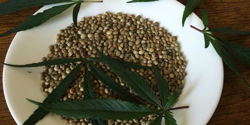 SUPERHRANA Ove sjemenke izrazito su zdrave za organizam