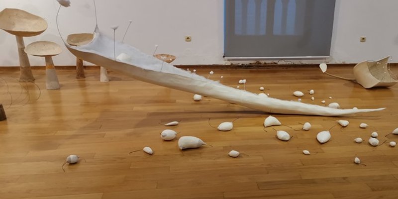 STUDIO 21 Otvara se izložba 'Crno bijelo u boji' Dražena Pejkovića i Tončice Jelače Marijančević Tonke