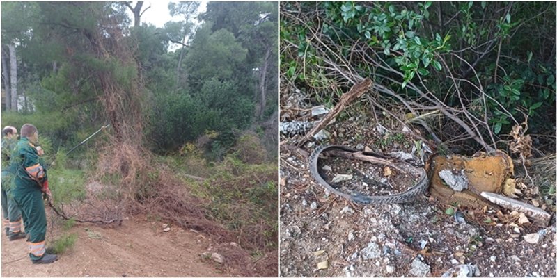 PARK-ŠUMA MARJAN: Očišćeno smeće, posađen drvored pinija