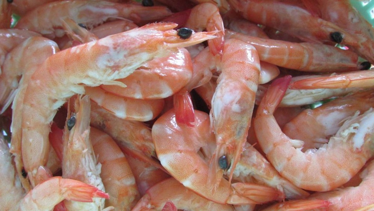 CHEF PAŽANIN OBJAŠNJAVA: Koja je razlika između hlapa i jastoga te škampi i kozica