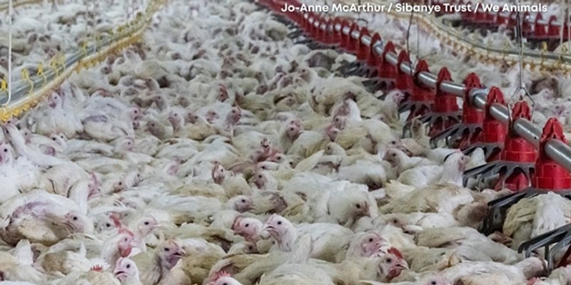 Prosvjed: 'Europa steže pravila, a Hrvatskoj se gura industrijski horor'