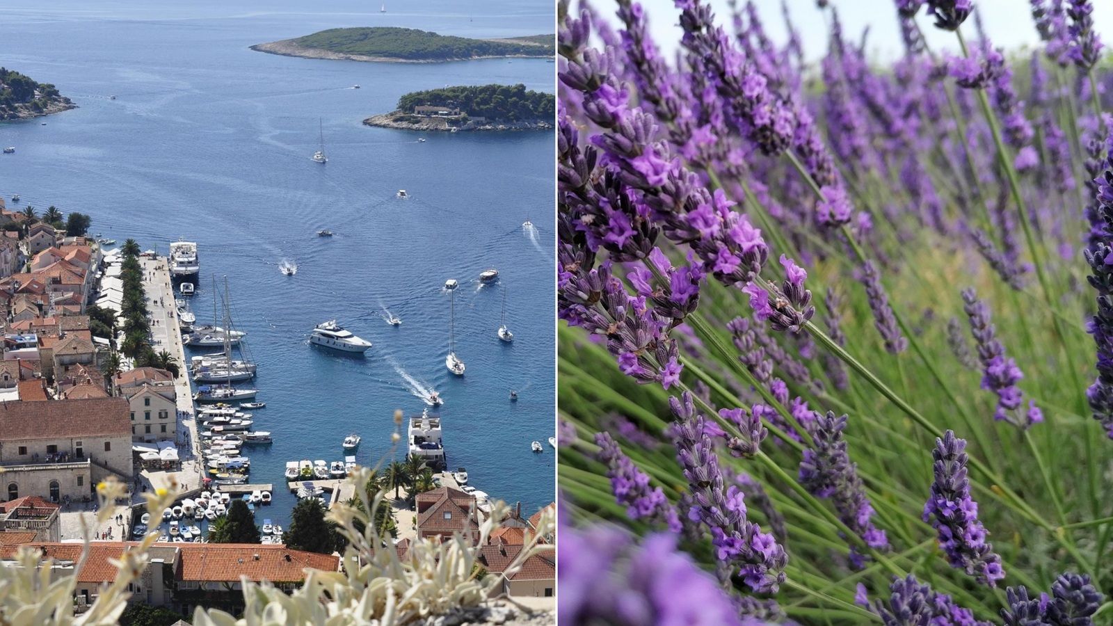 Eterična ulja hvarskog bilja postaju dio nove/stare strategije razvoja turizma
