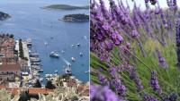 Eterična ulja hvarskog bilja postaju dio nove/stare strategije razvoja turizma