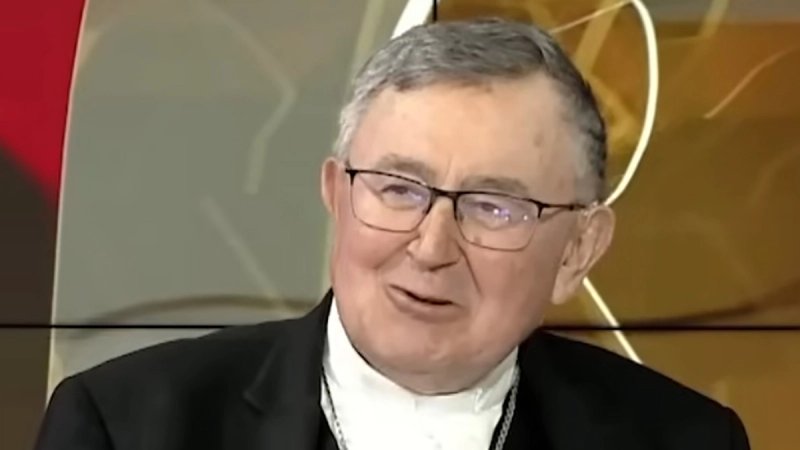 Kardinal Puljić: Došao sam do tajnih planova sve tri strane i smučilo mi se