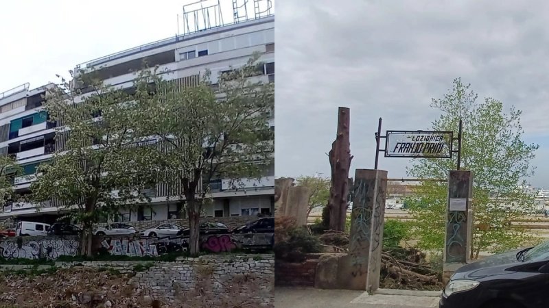 POSJEČENI DO TRUPCA Nestao drvored u Bregovitoj, građani tvrde da su stabla bila zdrava, HŽ: 'Bila su trula i opasna'