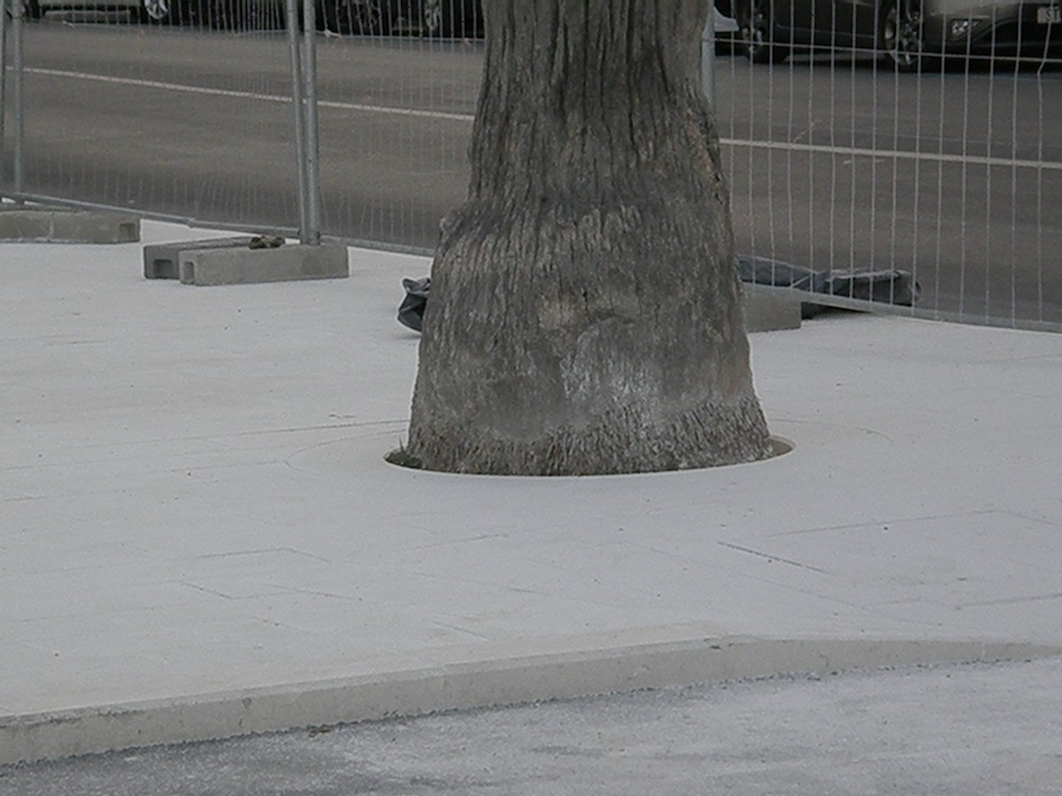 Zeleni Dalmacije razočarani 'novim Ambasadorom': Najmanje je jedan broj veći