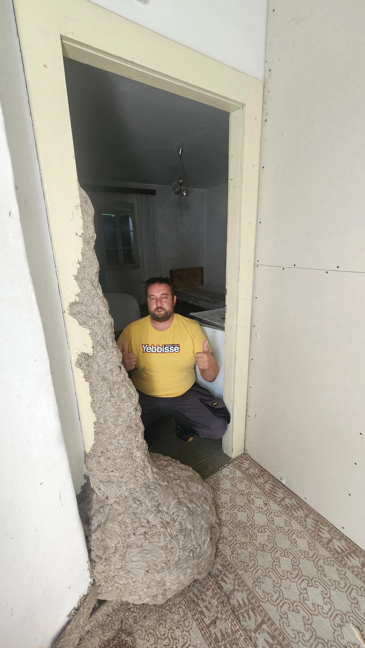 FOTO Ogromno gnijezdo stršljena nije na Braču nego na - Šolti!