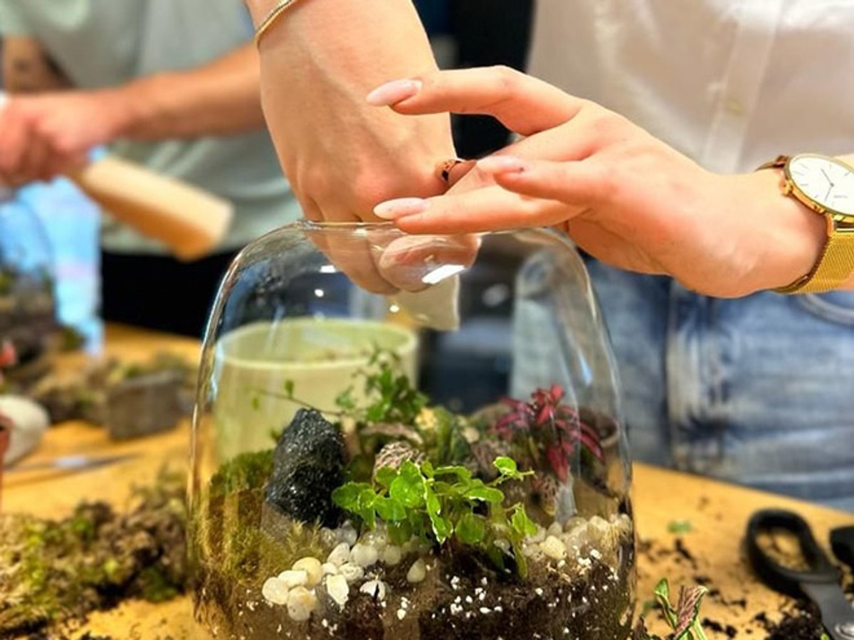 Pridruži se nizu besplatnih programa u Zadru ove subote! 