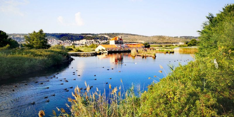 FOTOGALERIJA Očišćen krajobraz Doline Blaca na Braču i rezervat Pantan kod Trogira