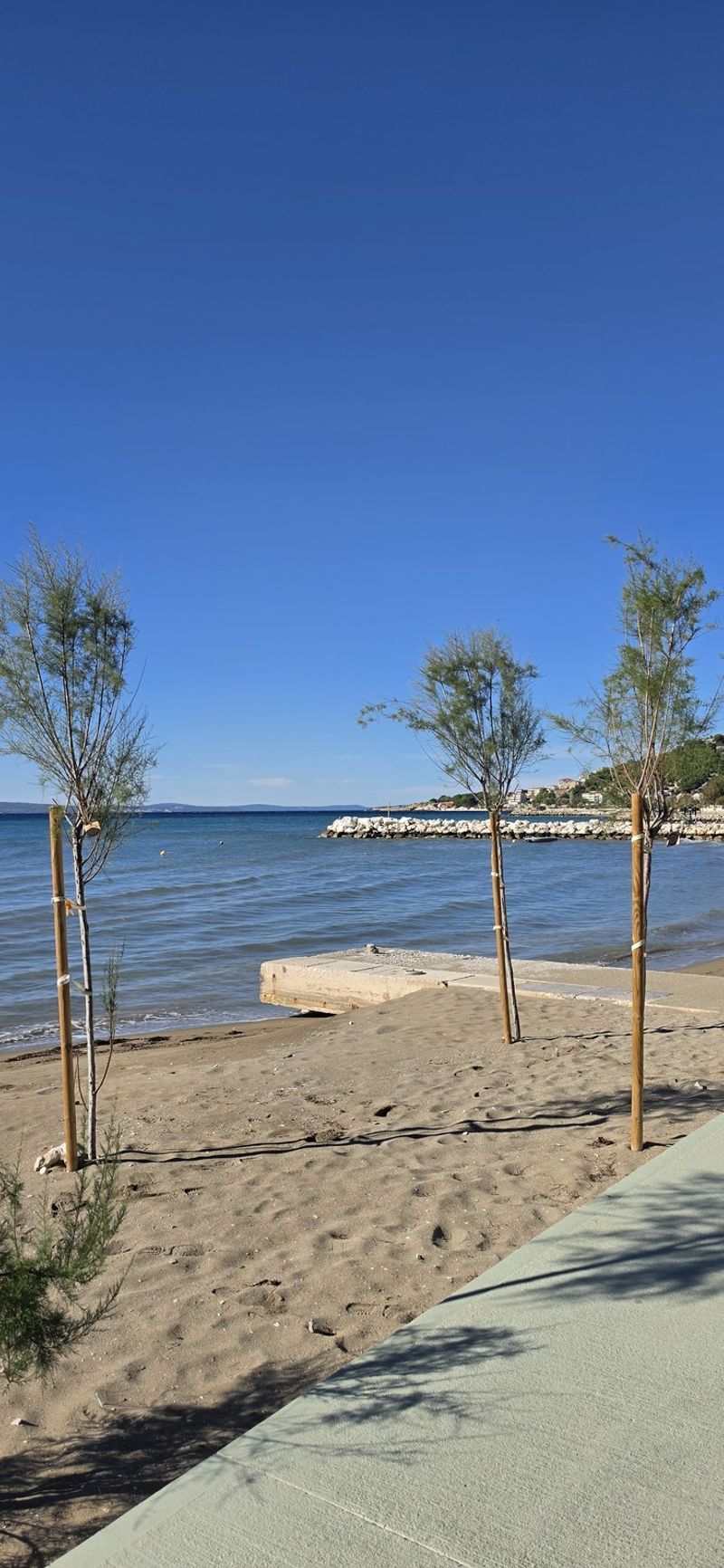 FOTO Vraćaju se autohtoni tamarisi na obalu