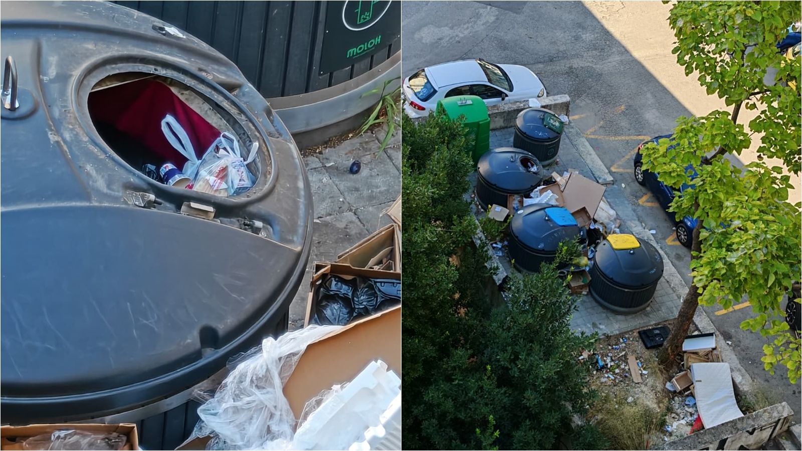 FOTO UBOD Ružna scena sa Spinuta: 'Srbi, masoni ili ipak mi?'