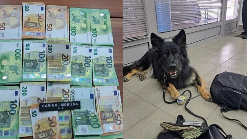 Srbin u Hrvatsku pokušao uvesti 15 tisuća eura, spriječio ga pas