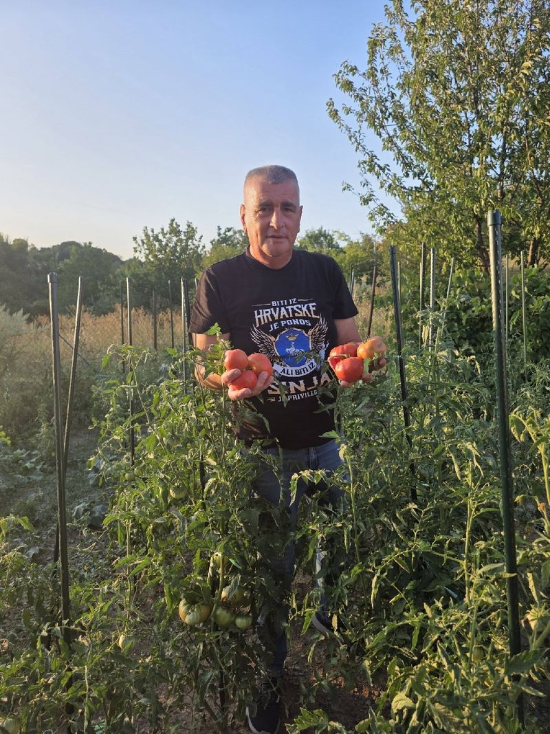 FOTO Bulj ubire plodove svog vrta