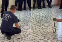 VIDEO Splitski vatrogasci učili kako sigurno hvatati zmije, pogledajte kako je to izgledalo