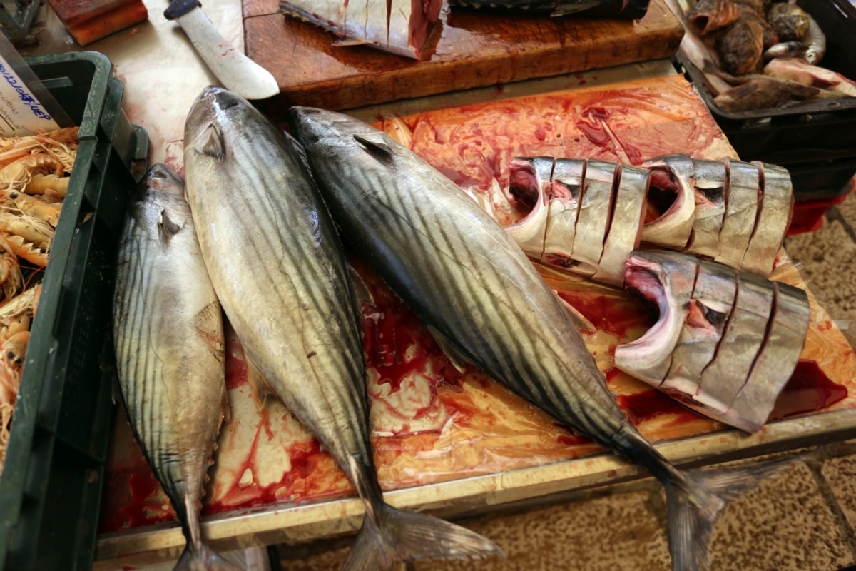 Peškarija | Veljko Martinović