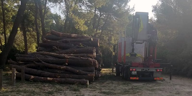 NESTAJE MARJAN KAKAV JE BIO: Još jedan slučaj u kojemu nitko nije odgovoran