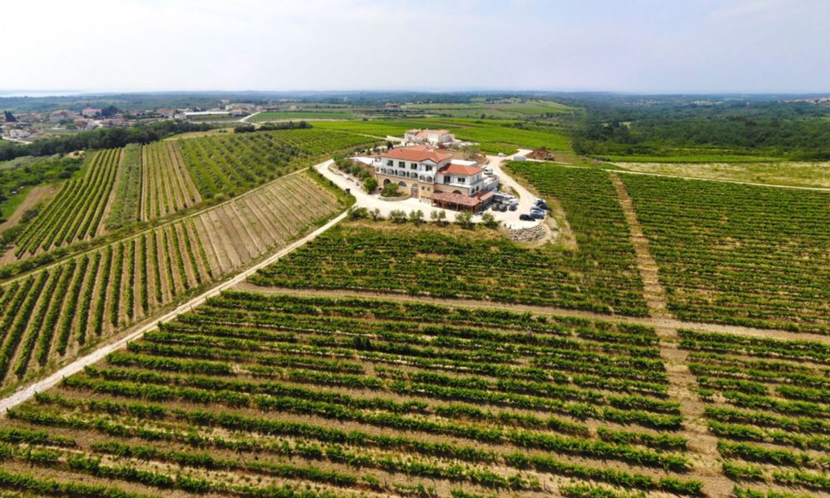 Proljetni road trip Istrom za pamćenje - otkrivamo rutu iz snova