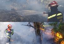 Brački vatrogasci borili se s požarom u uvali Tatinje