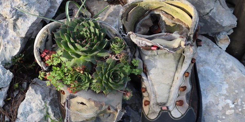 Planinarsko društvo Sveti Jure organizira Opću planinarsku školu