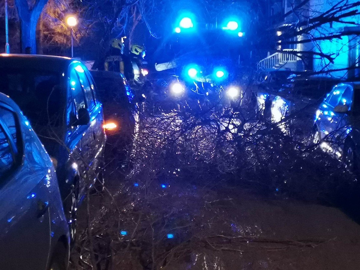 FOTO Palo stablo u Spinutu, policija i vatrogasci u akciji