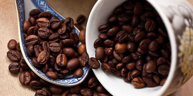 Zbog klimatskih promjena mogli bismo ostati bez kave