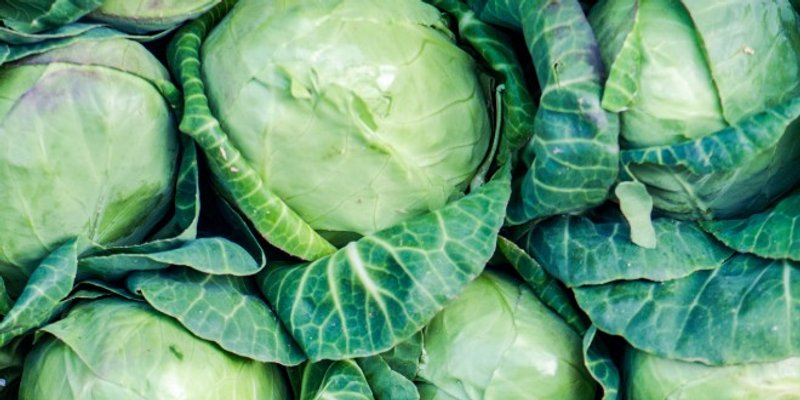 SEZONA KISELJENJA KUPUSA: Bakin recept u četiri koraka koji sigurno uspijeva