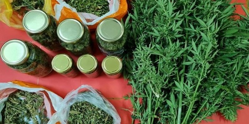 Policija ga zatekla dok je skrivao marihuanu u grmlje