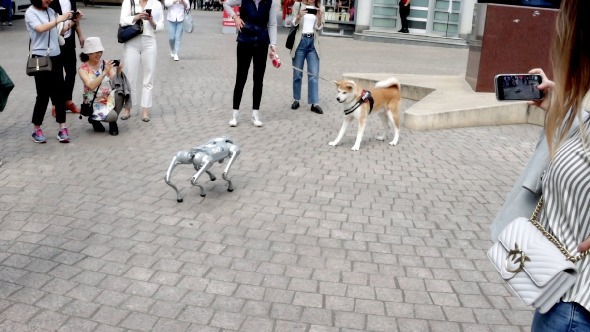 Izgradnja lokalnih ekosustava za STEM kao pokretač razvoja