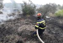BRAČ Noćas gorjelo uz prometnicu u Selcima