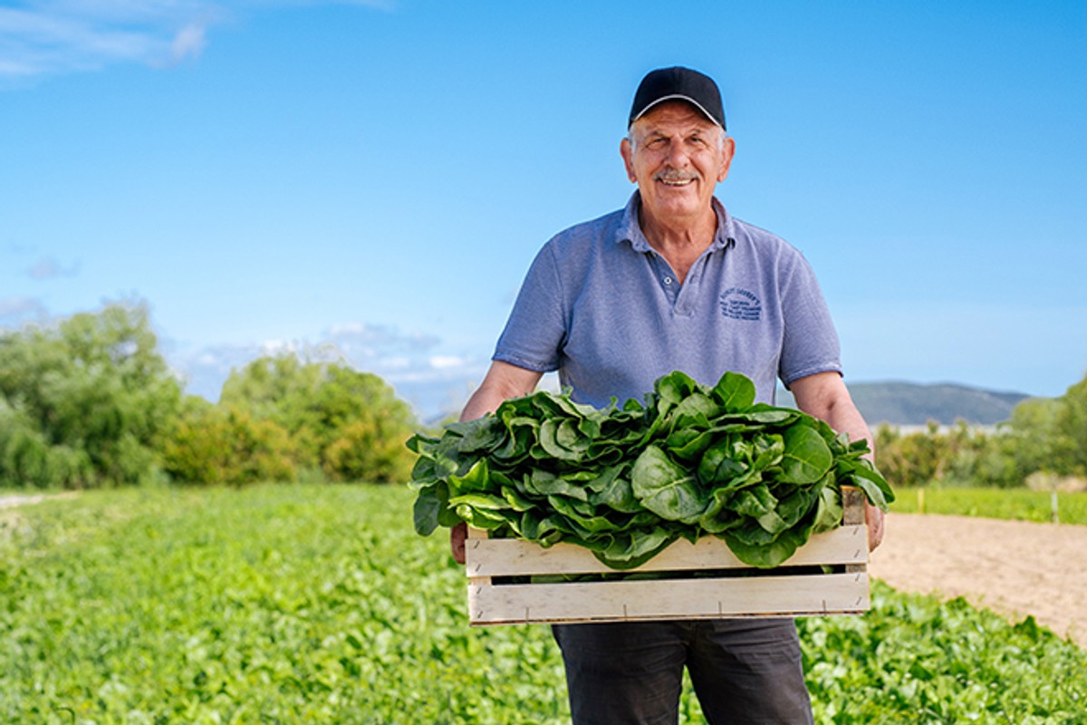 KUŠAJ DOMAĆE Uz vodeći lanac na Jadranu birajte ukusno i zdravo!