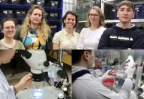 Znanstvenici IRB-a otkrili molekularne škare važne za prve sate života embrija