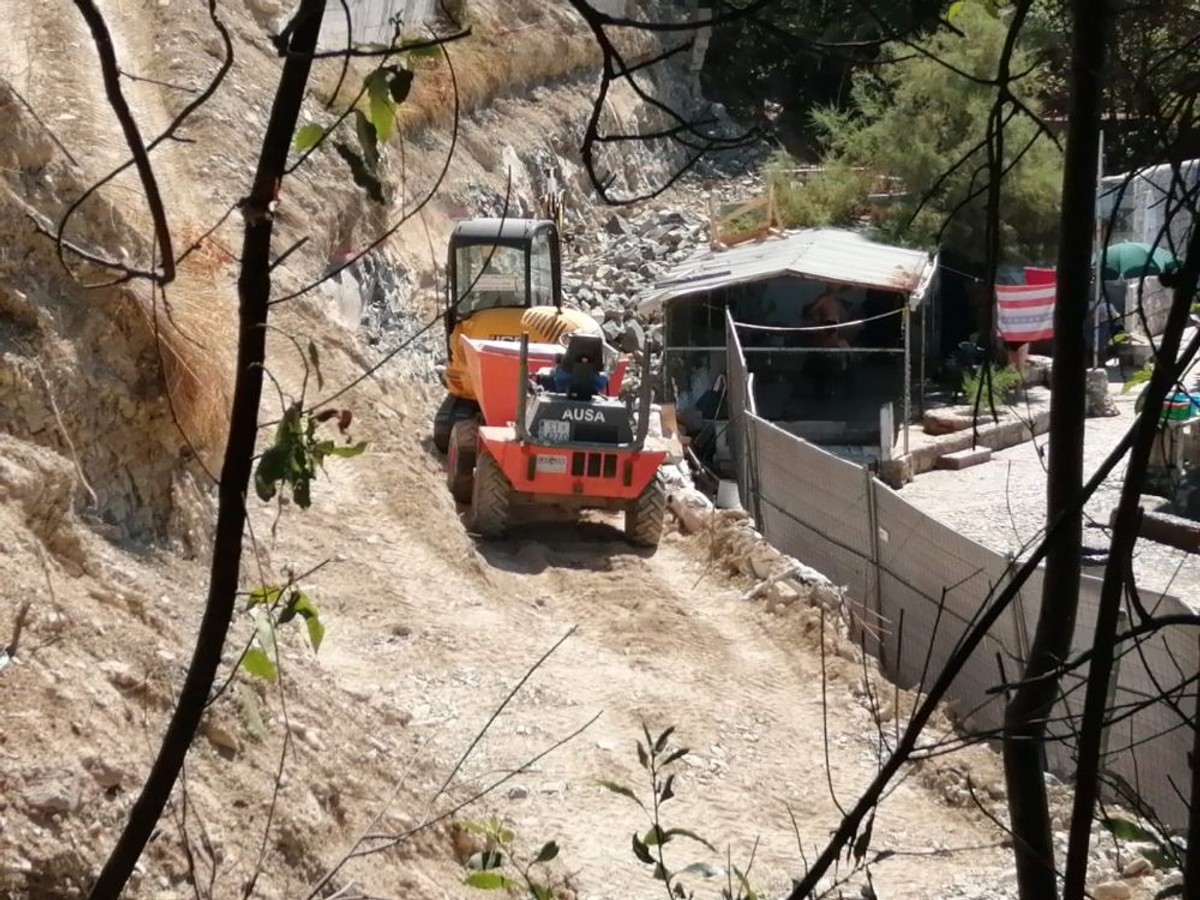 Ježinac | foto: Veljko Martinović