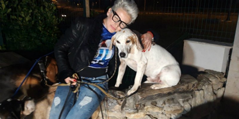 PSI SU ZAVRŠILI U SKLONIŠTU ZDENKE FILIPOVIĆ 'Uhranjeni su, u odličnom stanju, ali nisu cijepljeni i čipirani' 