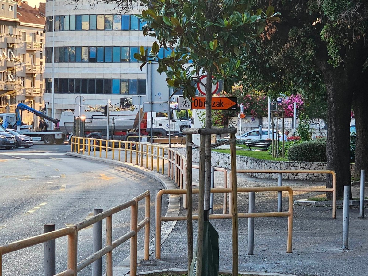 VIDEO Pogledajte kako su na gradilištu Small Malla uklonili veliku pelegrinku