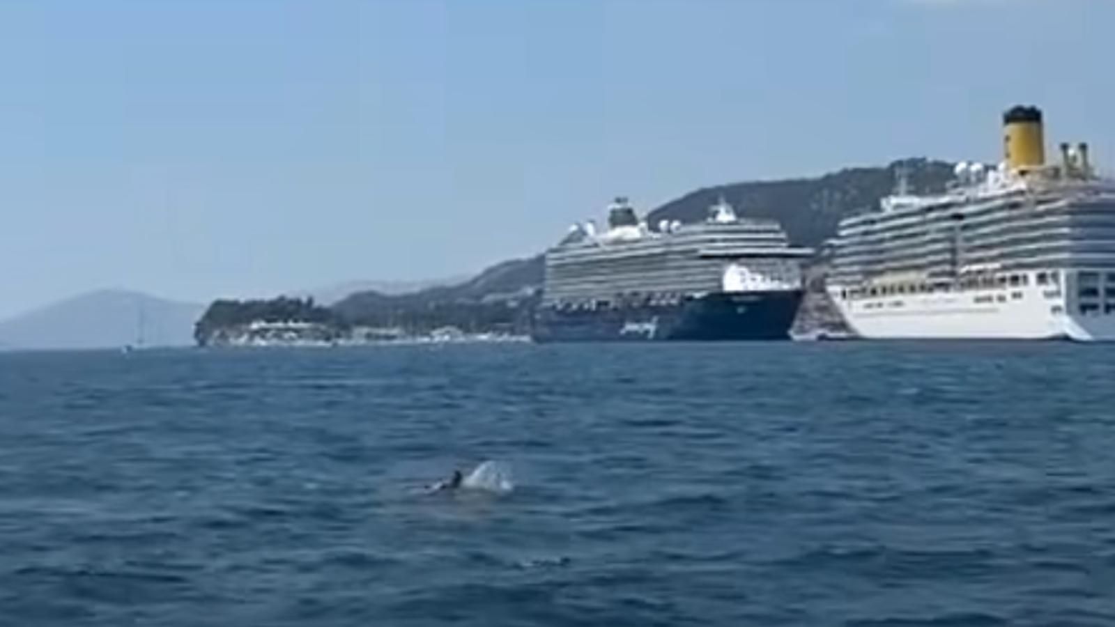 VIDEO Nevjerojatan prizor u moru pred Splitom. Nećete vjerovati gdje ovaj čovjek pliva
