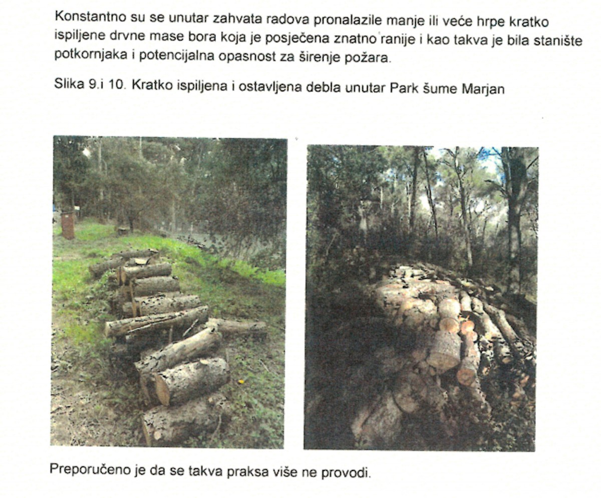 PORAZNO IZVJEŠĆE NADZORA NA MARJANU 'Radovi nisu vršeni redovito i na vrijeme, to je sigurno pogodovalo razvoju bolesti i štetnika'