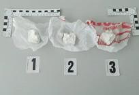 Pokušao prijeći granicu s hrpom droge, pronađeni mu marihuana, ecstasy i crystal meth