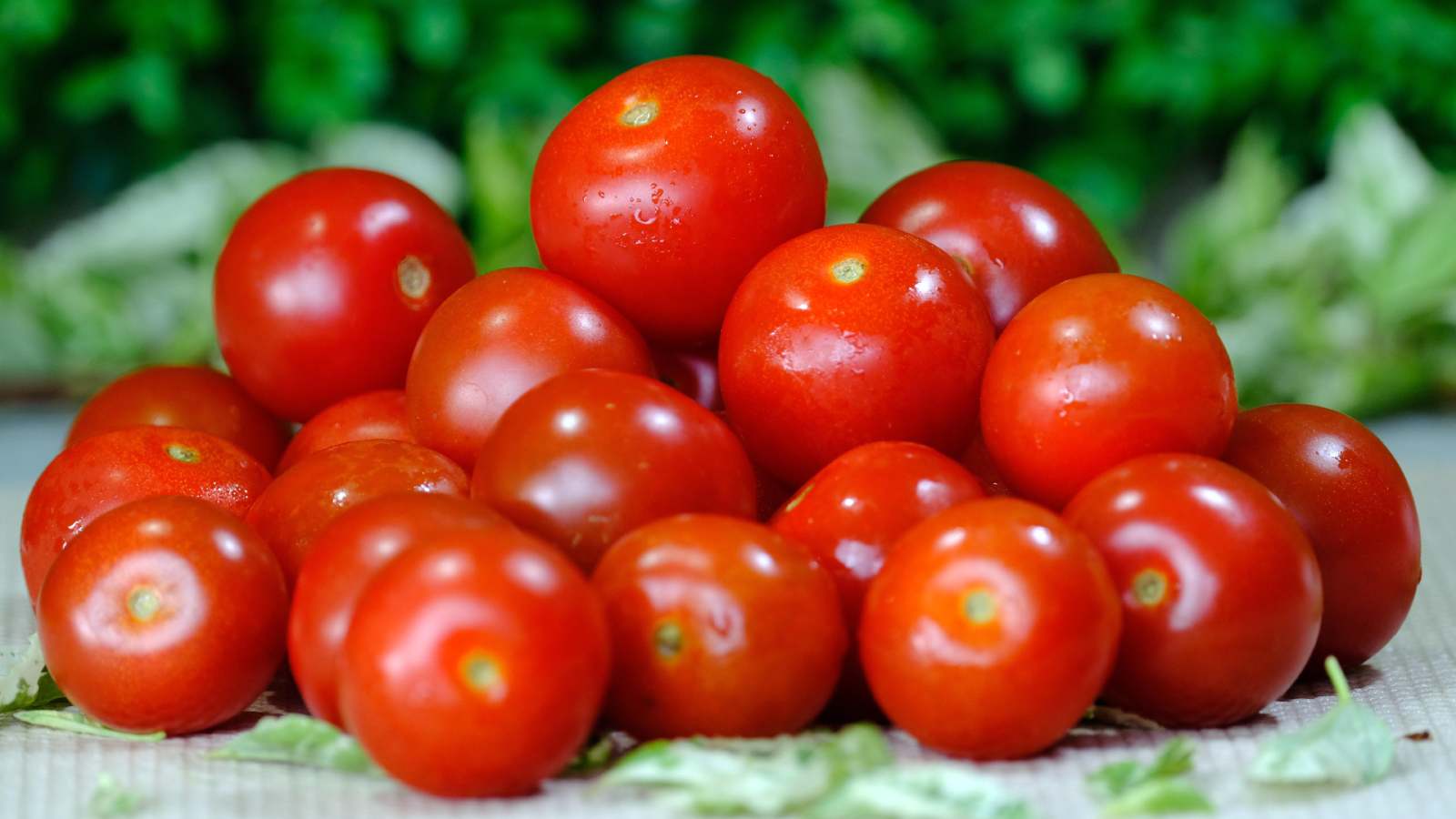 Cherry rajčice u kojma je otkrivena salmonela završile su i na hrvatskom tržištu