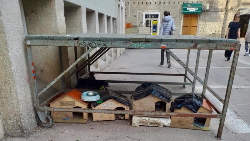 Parkovi i nasadi otkrili što se dogodilo macama s Poljane Tina Ujevića